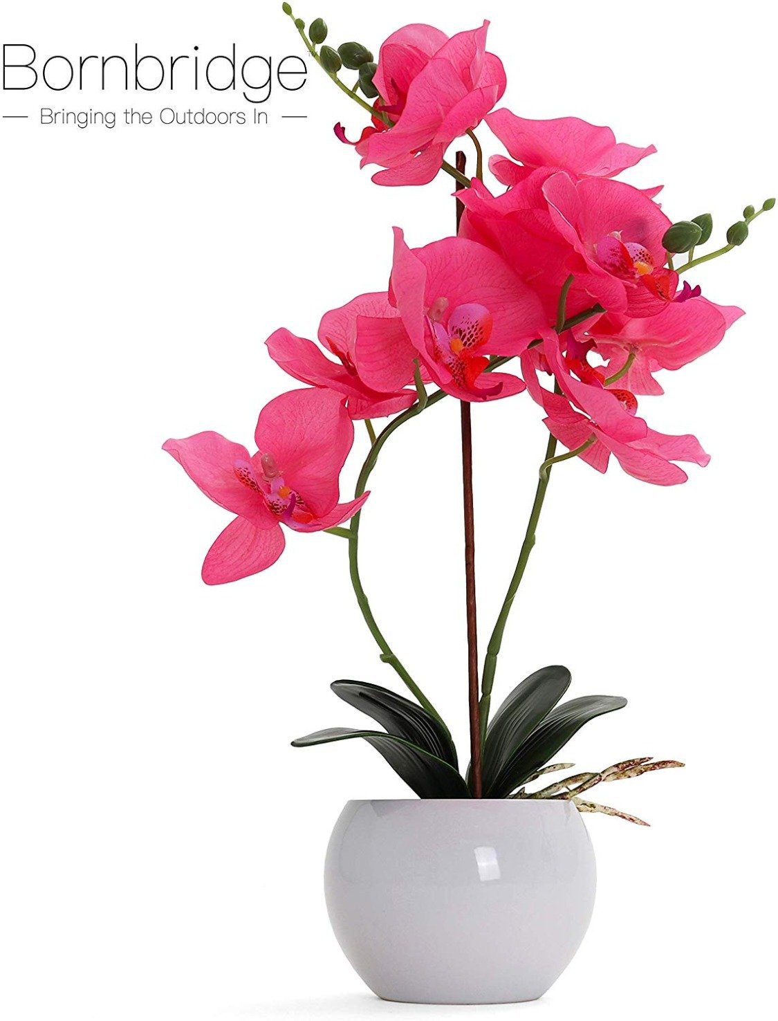 Bornbridge Artificial Orchid in Vase & Reviews Wayfair