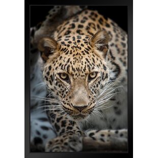 Africa Canvas Picture Poster Art Resting Leopard 