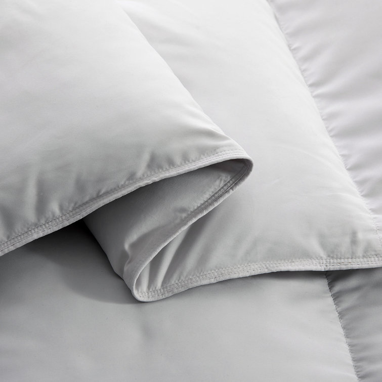 All Season Duck Down Comforter Alwyn Home Size: Queen