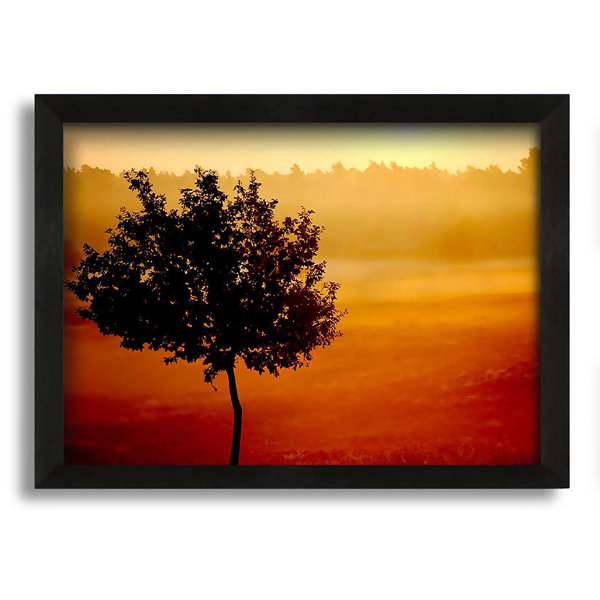 Ebern Designs Blazing Sun Tree - Single Picture Frame Photograph on ...