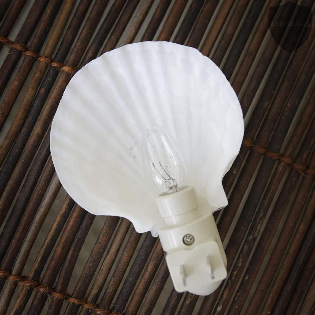 menggutong Real Sea Shell Beach Night Light Wayfair
