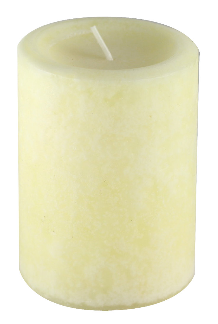 Charlton Home® Vanilla Scented Pillar Candle & Reviews Wayfair