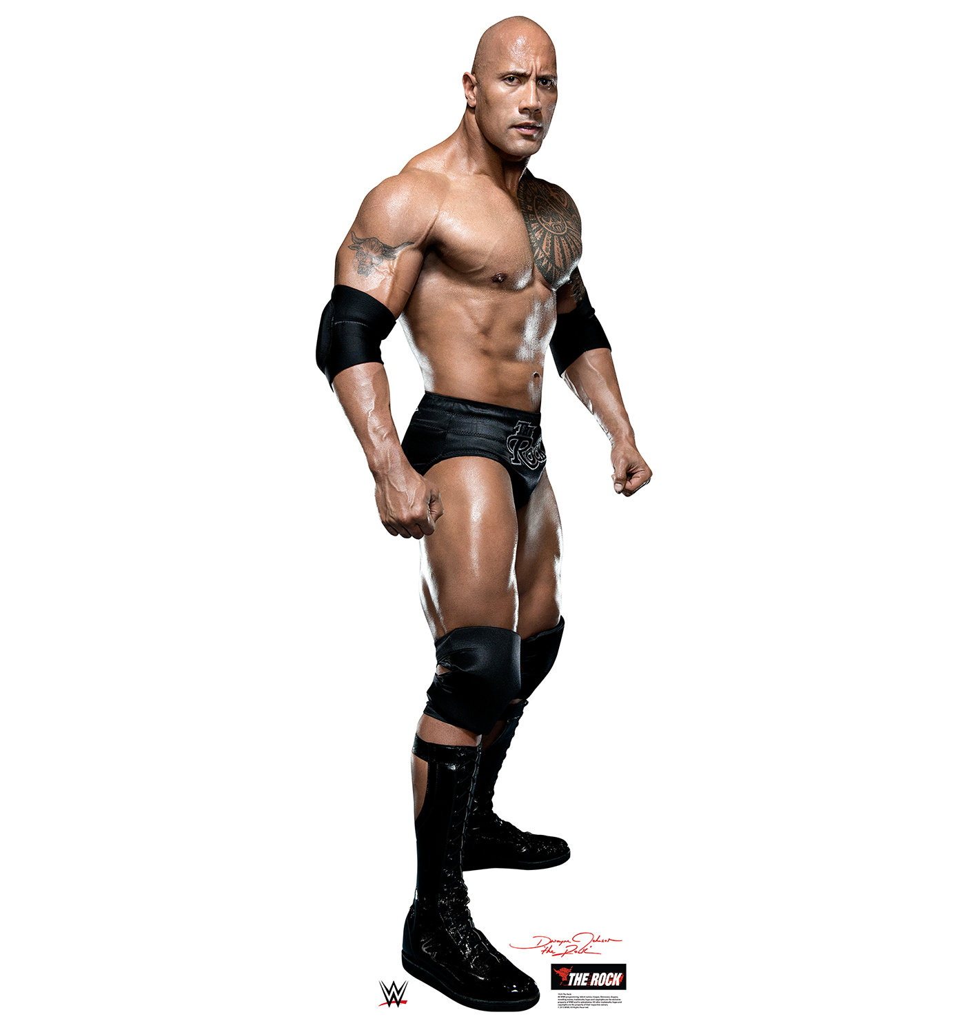 The World of the Rock WWE 