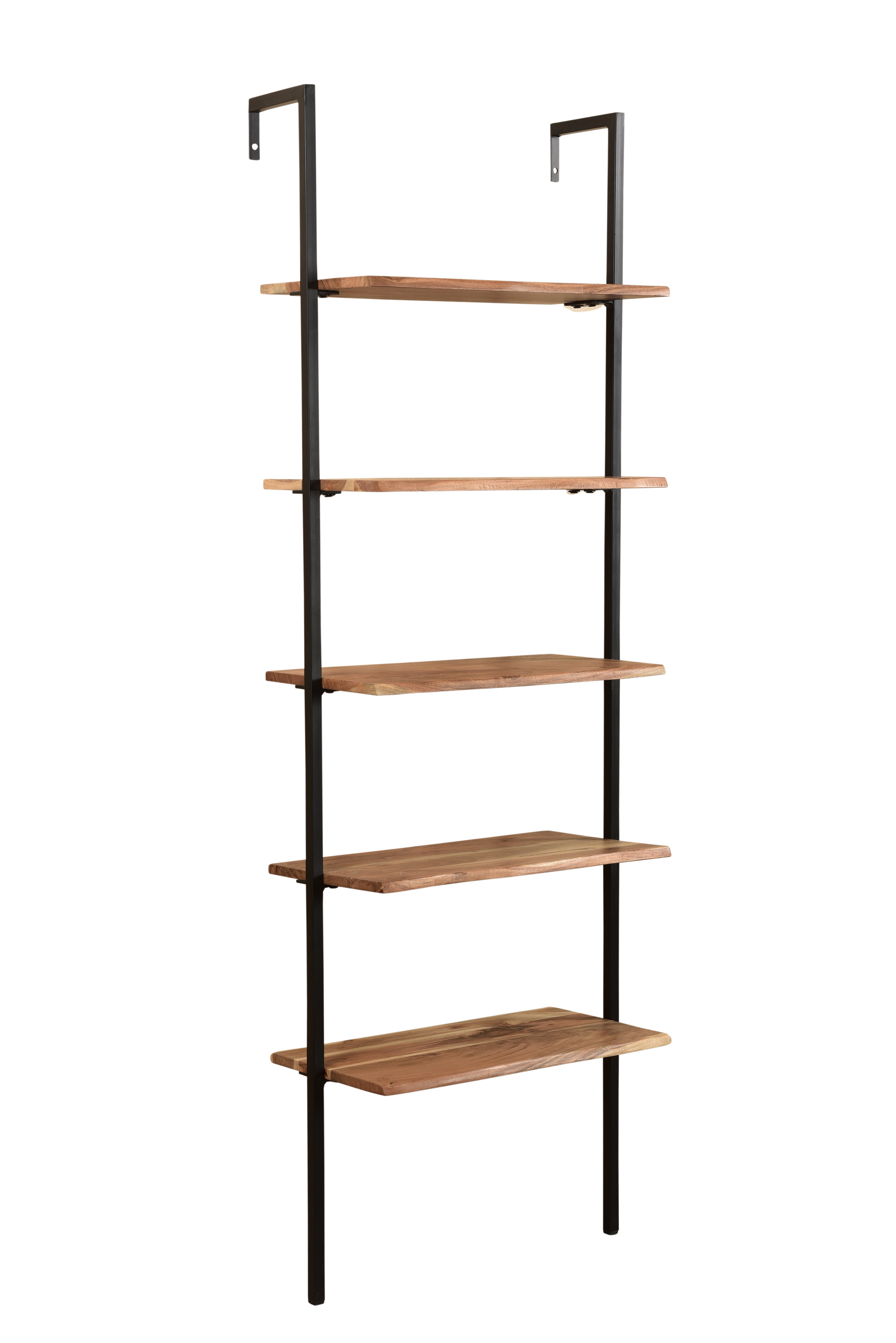 Loon Peak® Finneytown 72'' H x 24'' W Iron Ladder Bookcase Wayfair