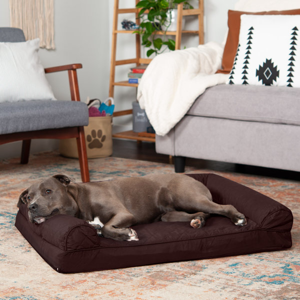 frisco cooling orthopedic pillow dog bed