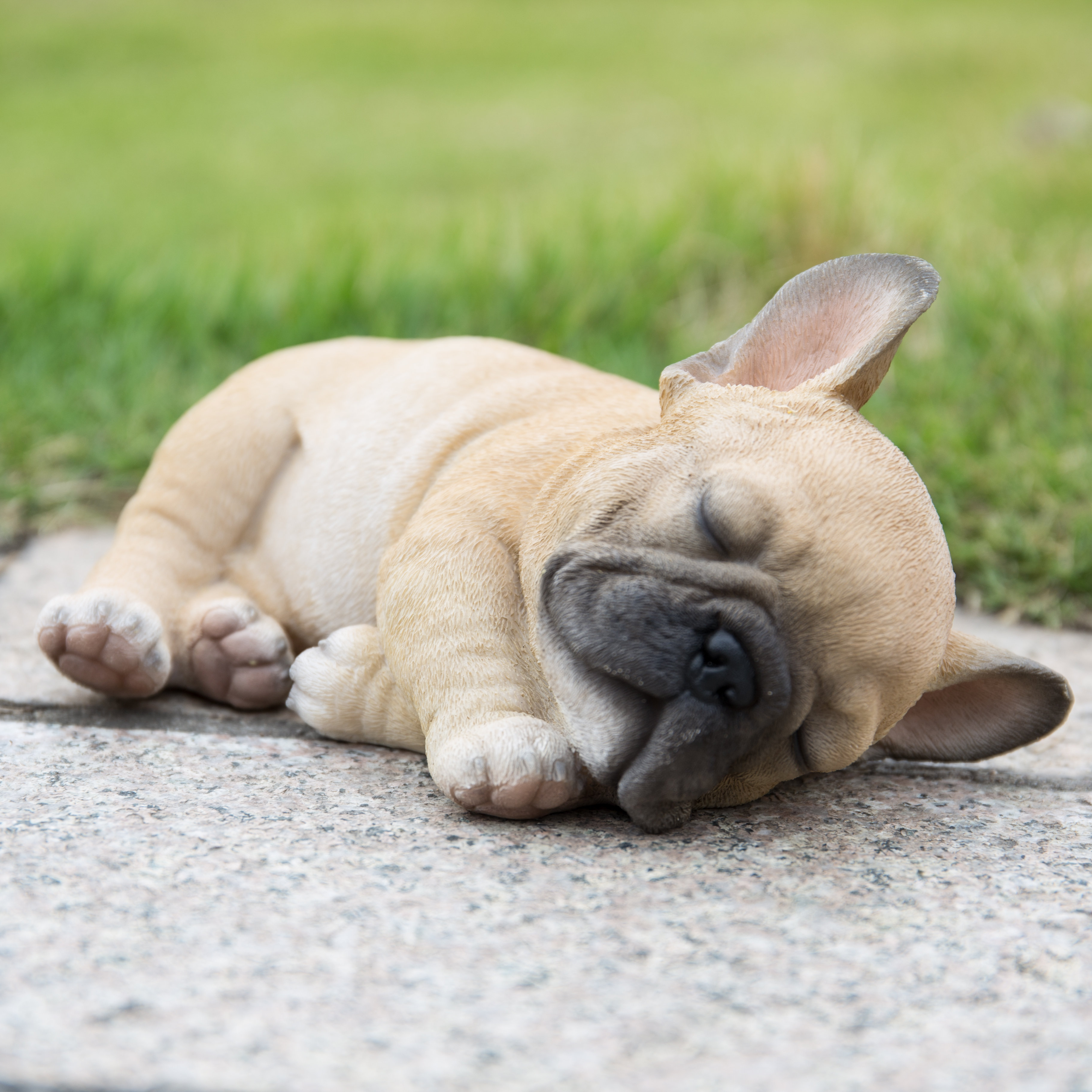 Life Like Figurine Statue Home Garden Lying Down Sleeping French Bulldog Puppy 