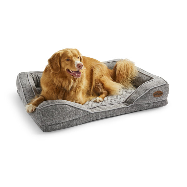 dog beds glasgow