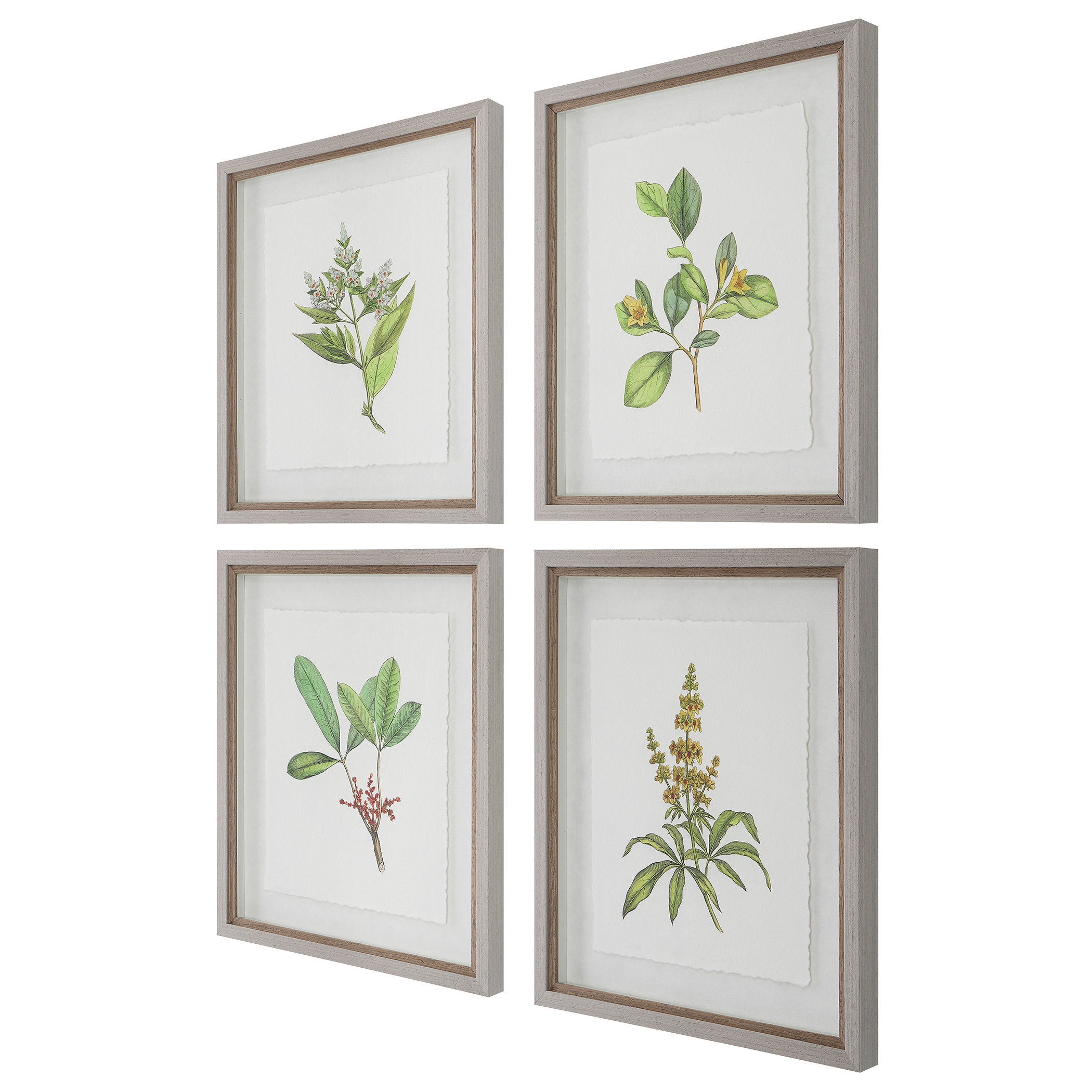 Red Barrel Studio® Wildflower Study 4 Piece Picture Frame Graphic Art