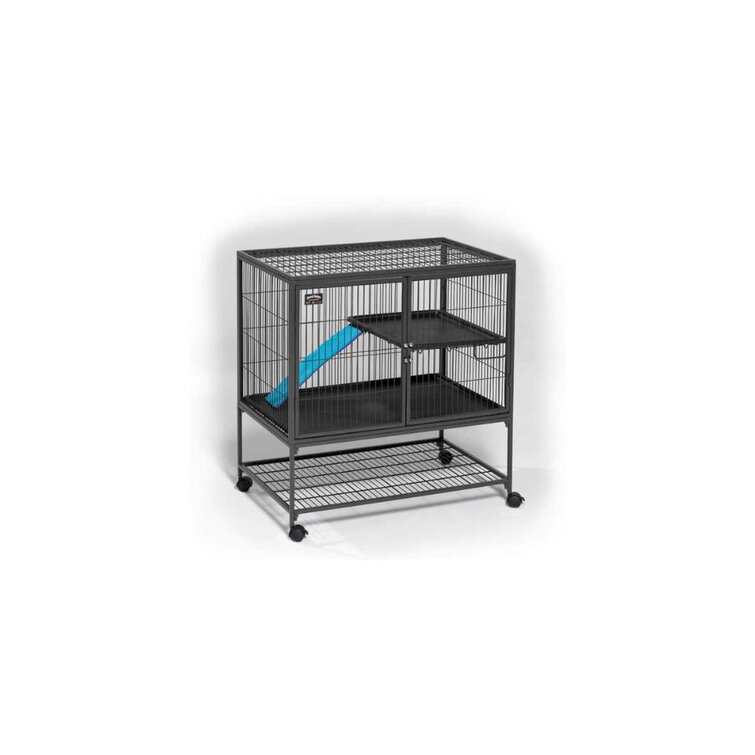 meteor Begge Centrum Midwest Homes For Pets Ferret Nation Cage with Ramp & Reviews | Wayfair