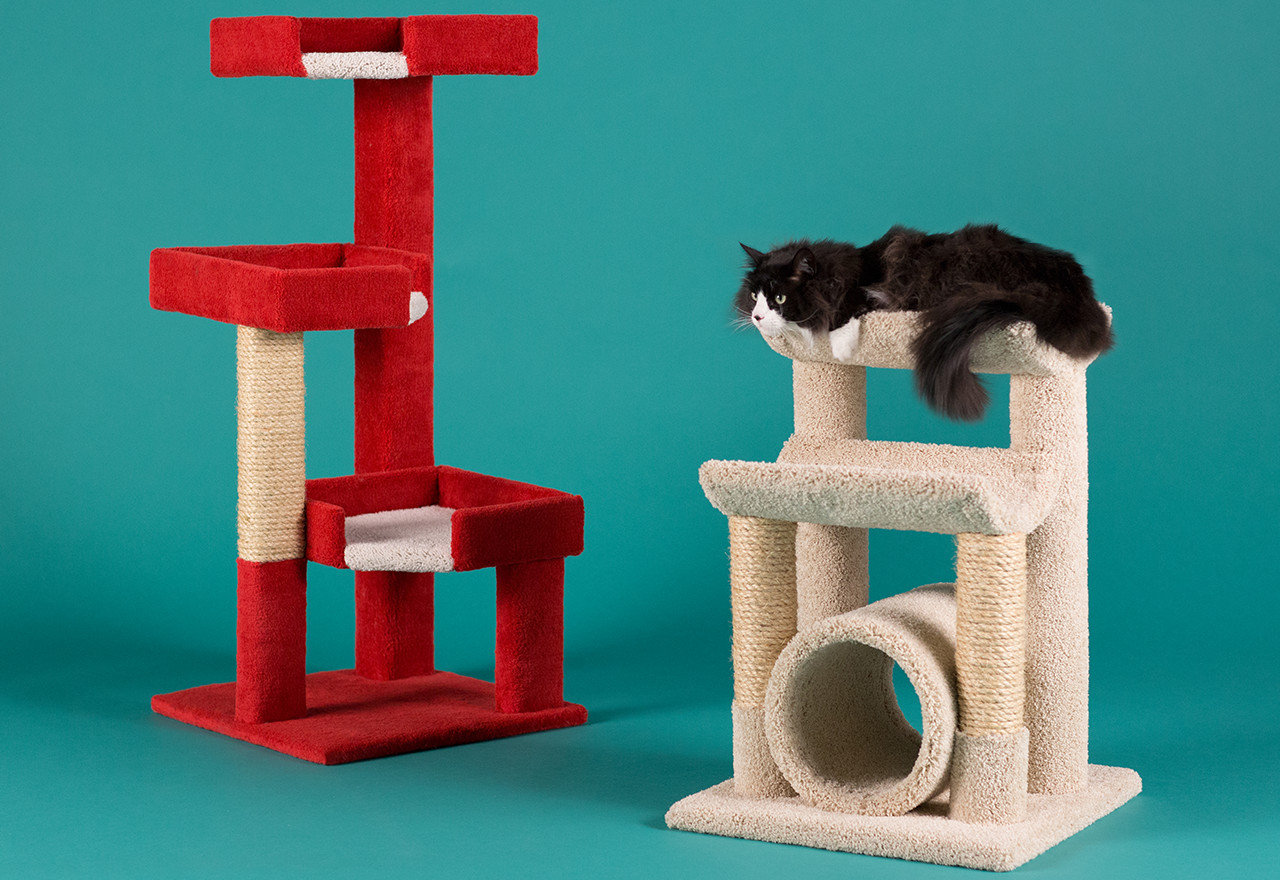 [BIG SALE] The Cat's Meow Cat Trees & Beyond You’ll Love In 2023 Wayfair