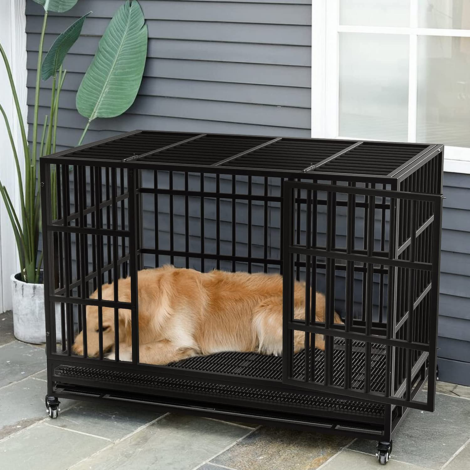 dog cage trays