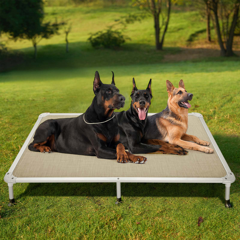 Chew Proof Cot Buy Veehoo Chew Proof Elevated Dog Bed Cooling