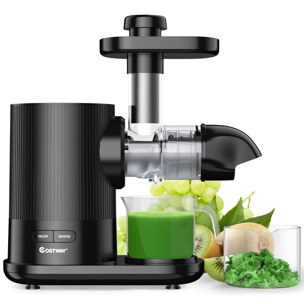 Reverse Function BPA-Free Cold Press Slow Masticating Juicer Extractor Machine Juicer Machines Slow Speed for Celery Carrot Kale Spinach Fruits Vegetables Quiet Motor with Cleaning Brush 