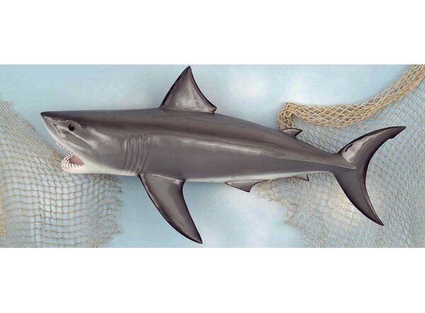 Great White Shark Head Apex Predator Sea Life Trophy Wall Sculpture Decor 
