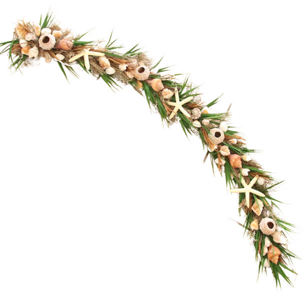 Rosecliff Heights Coastal Ribbon Wreath Starfish and Sand Dollars ...