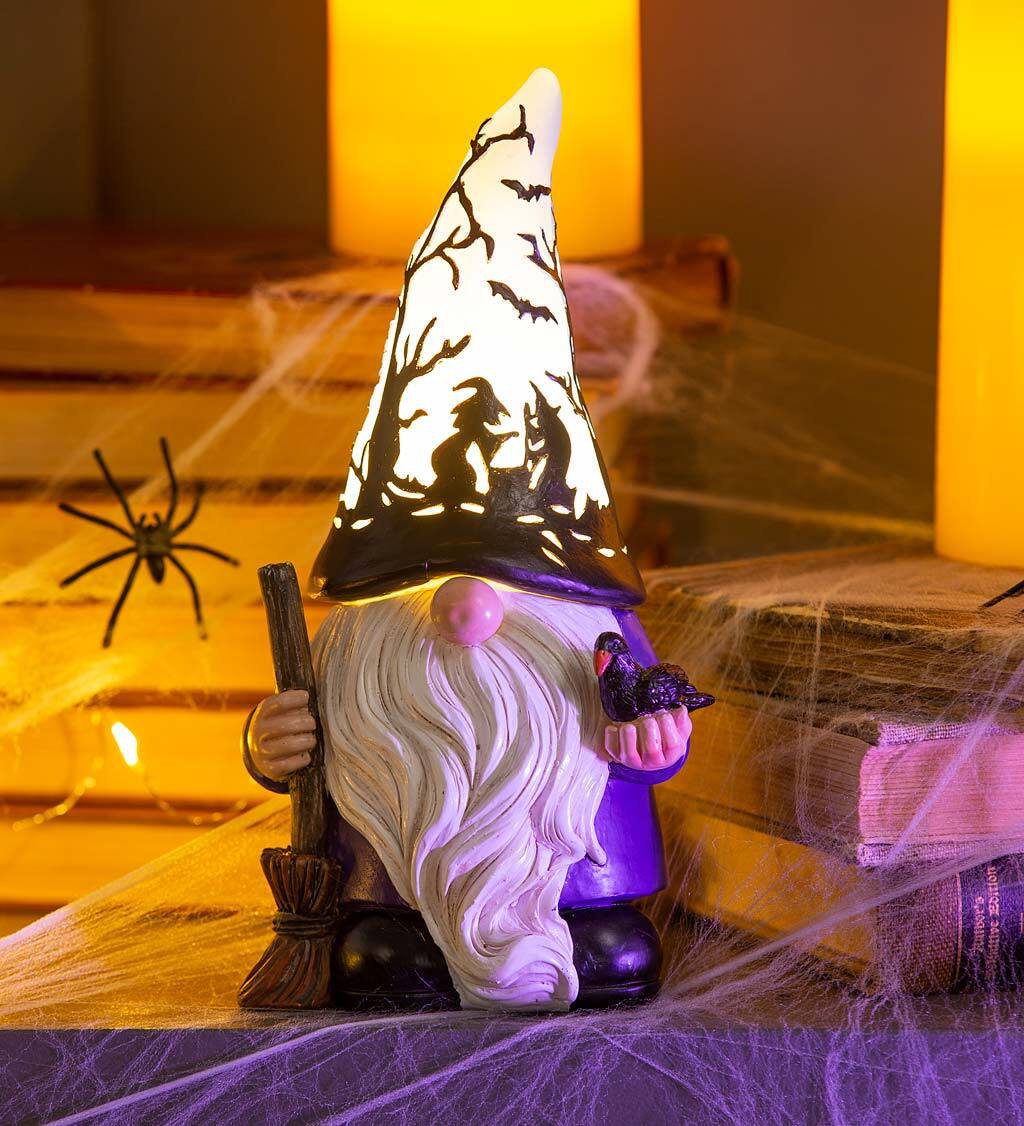 Plow & Hearth Halloween Gnome with Lighted Hat and Raven Figurine Wayfair Canada