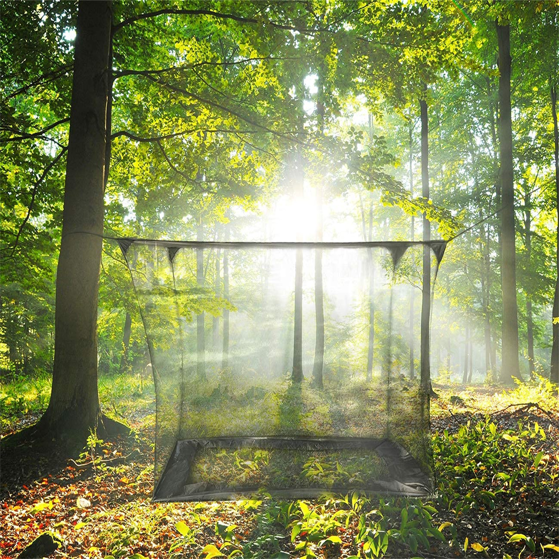 TGBY Mesh Bed Canopy Wayfair