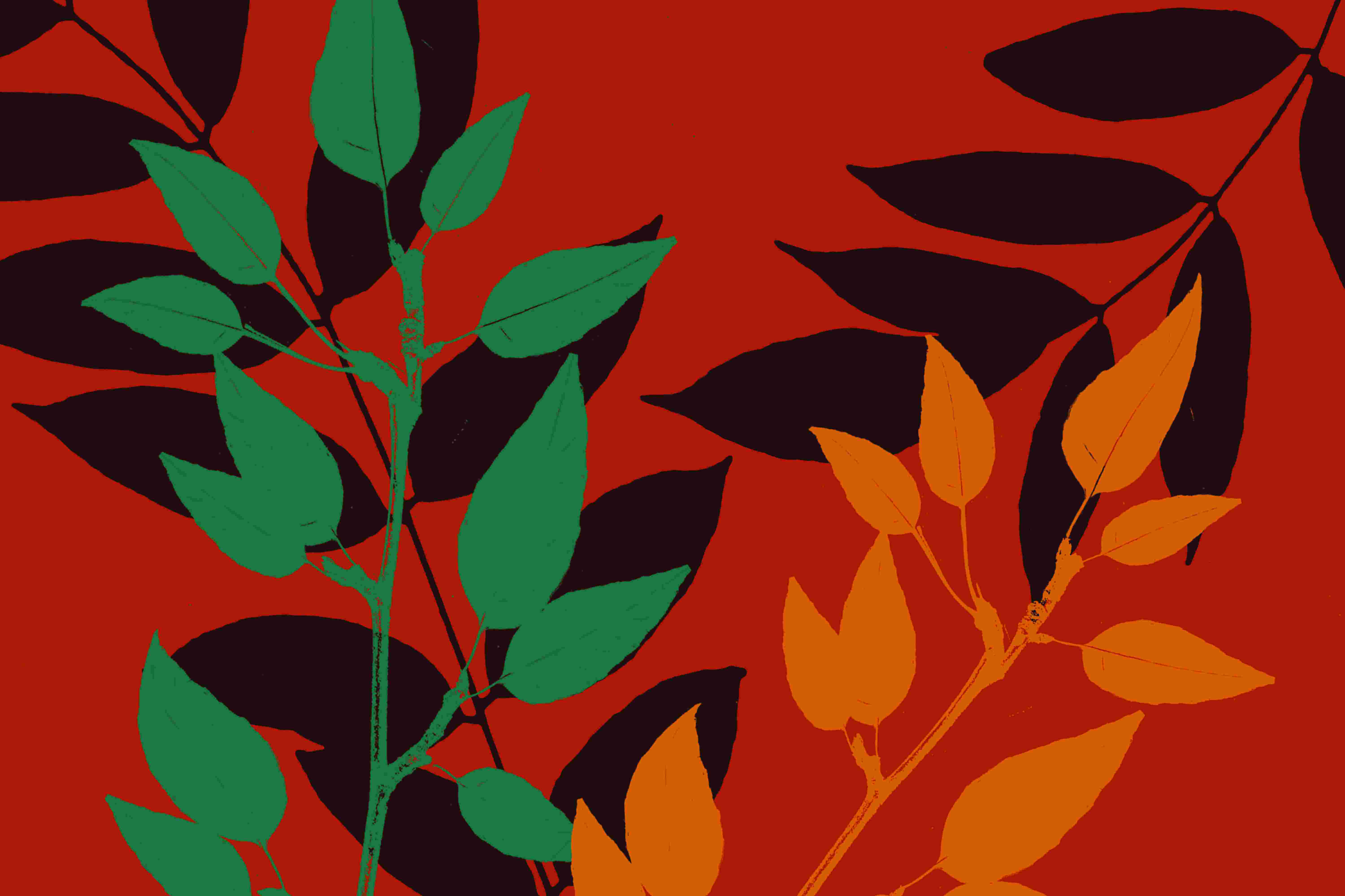 Winston Porter Leaf Collage 1 Wrapped Canvas Graphic Art Wayfair