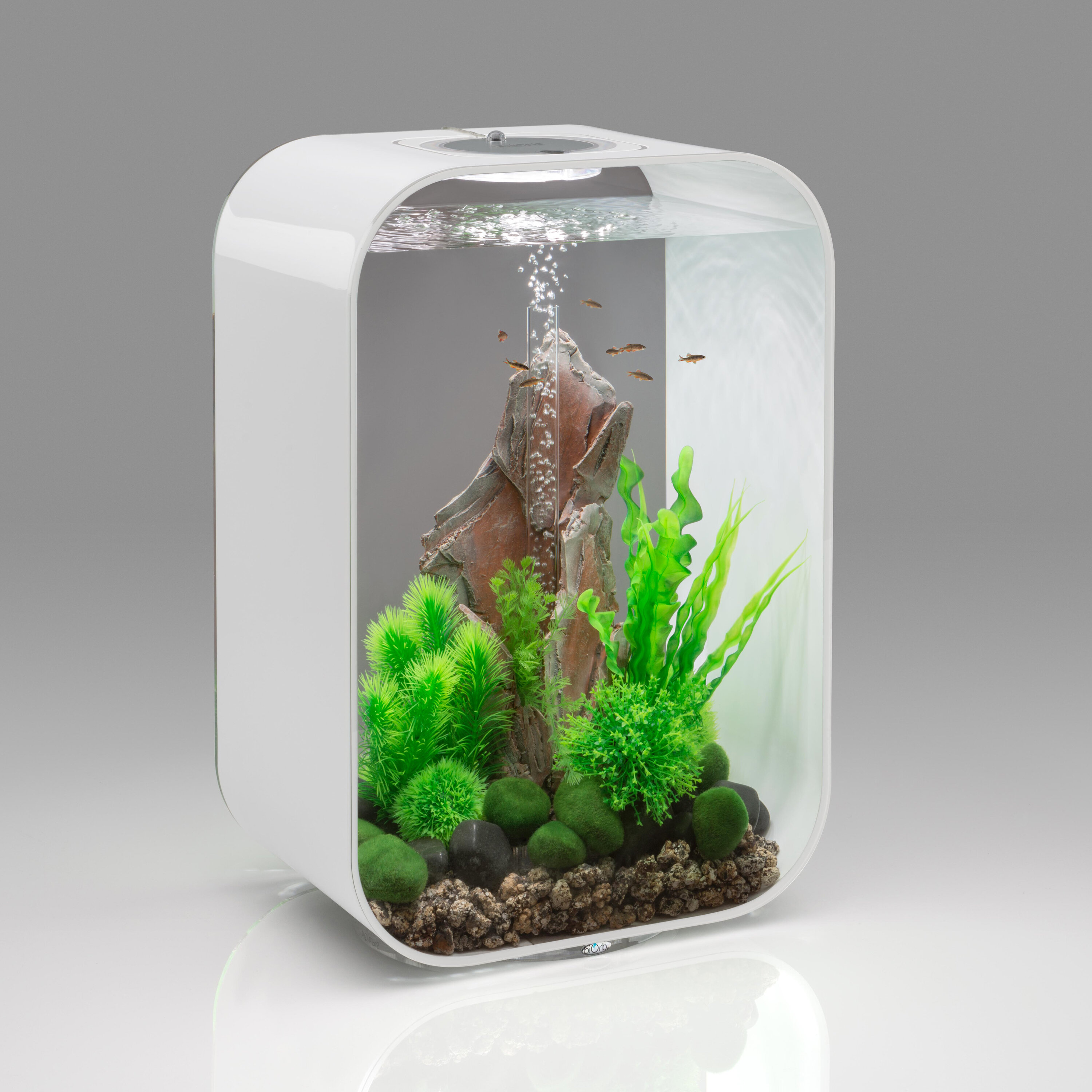 Plants For Biorb Large Aquarium Fish Tank Plants Goldfish And Tropical 