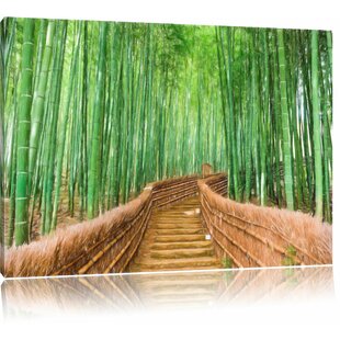 Grüner frischer Bambus mit Blättern  Leinwandbild Wanddeko Kunstdruck 