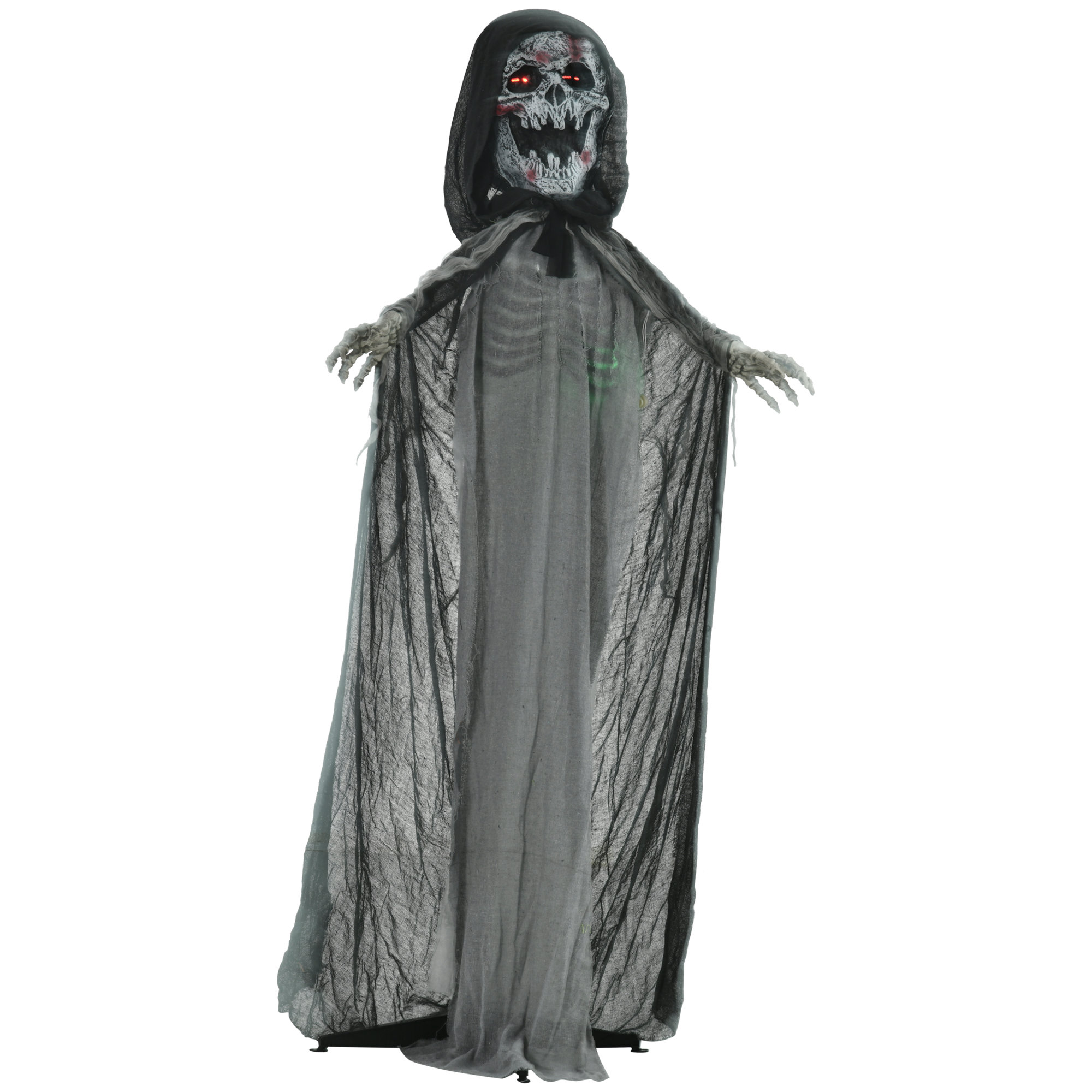 The Holiday Aisle® Decorations Skeleton Witch, Animated Prop