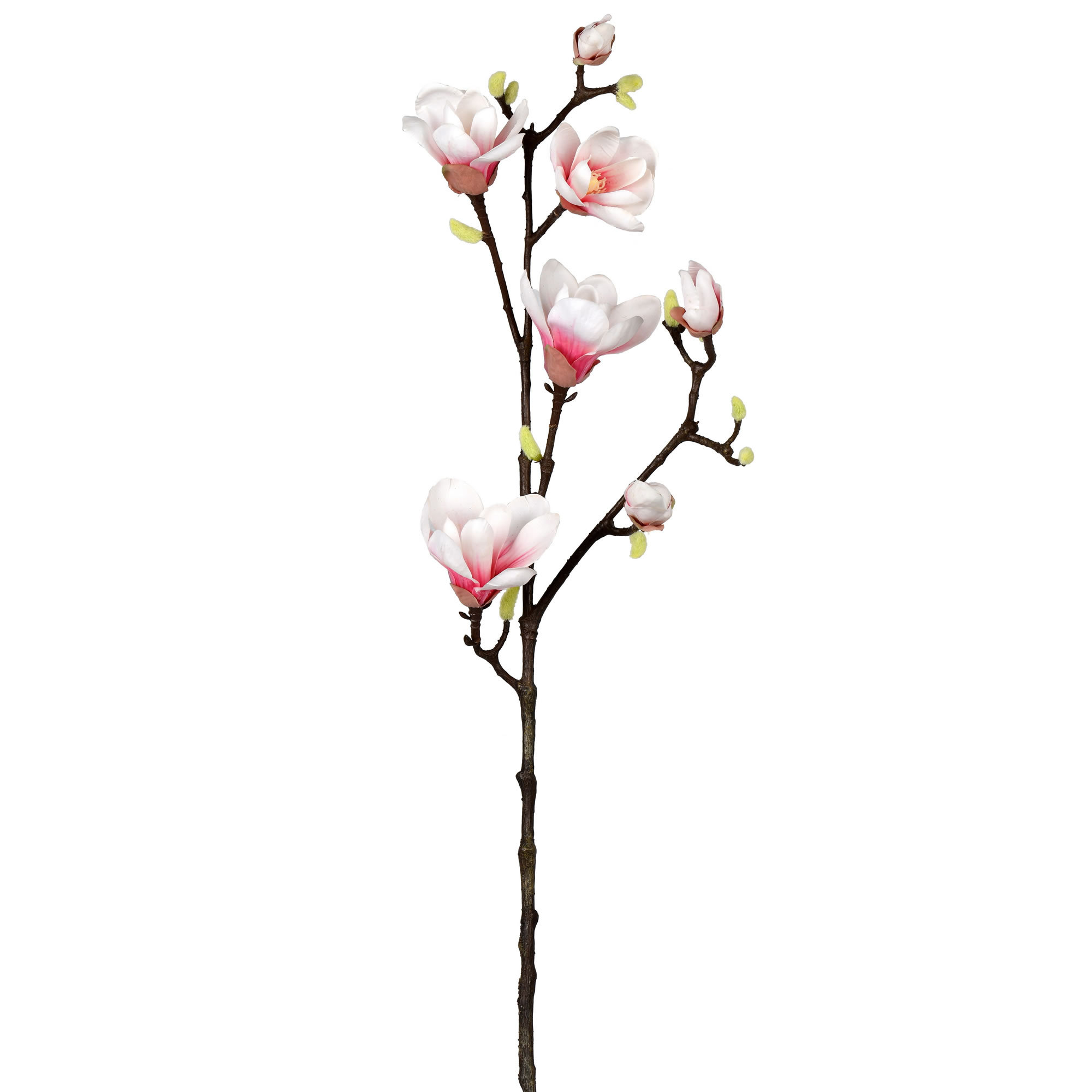 Rosdorf Park 38" Artificial Magnolia Stem Wayfair