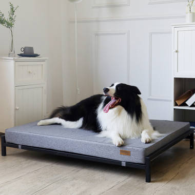 oakgrove dog sofa