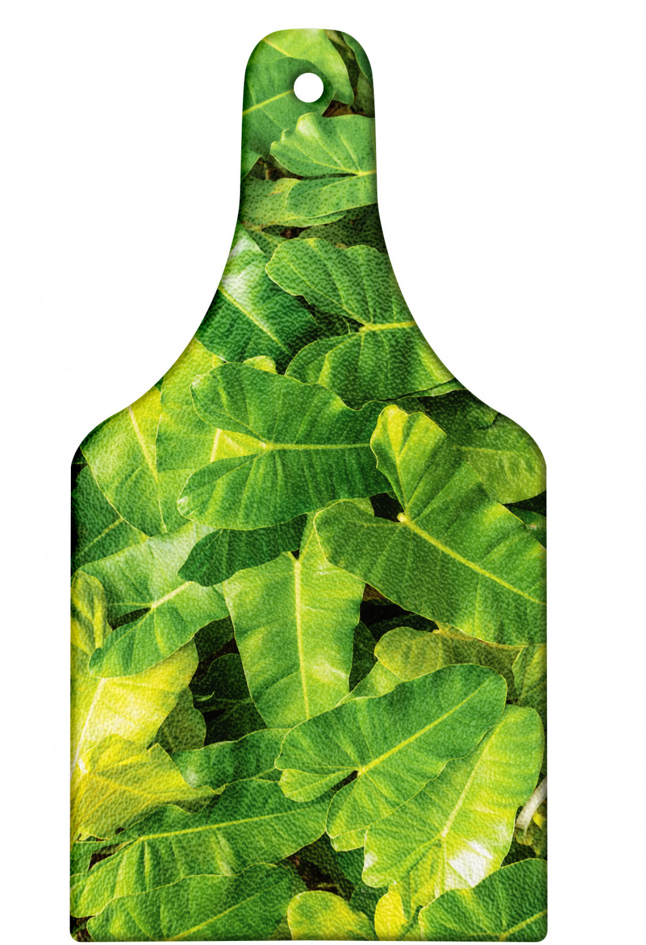 East Urban Home Glass Philodendron Cutting Board Wayfair