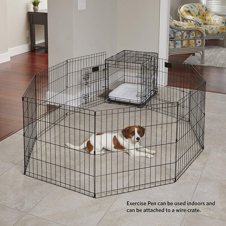 black puppy pen