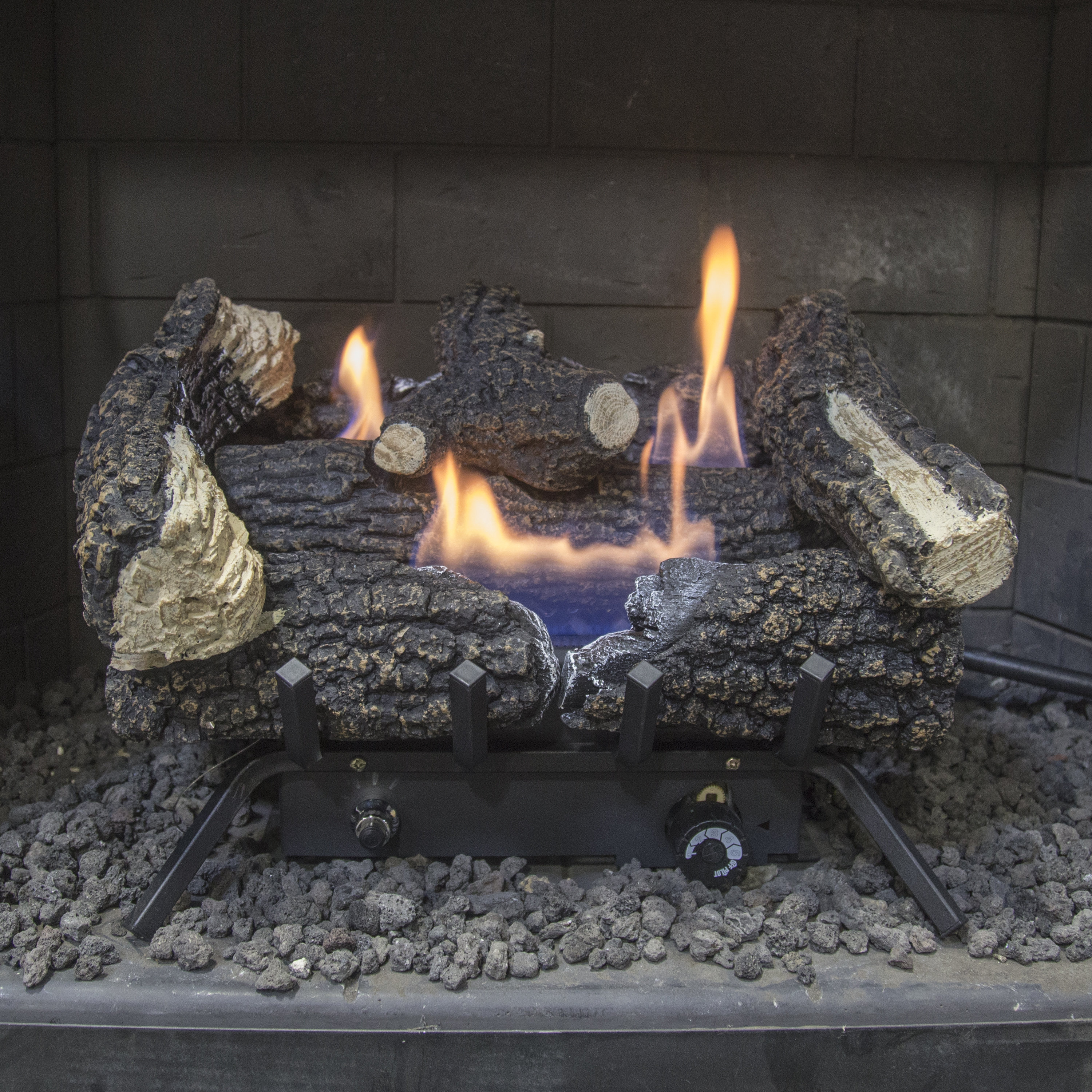 Pleasant Hearth Wildwood Vent Free Natural Gas/Propane Fireplace Log