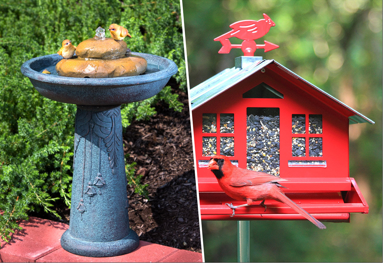 [BIG SALE] Chirp Shop Bird Baths & Houses You’ll Love In 2023 Wayfair