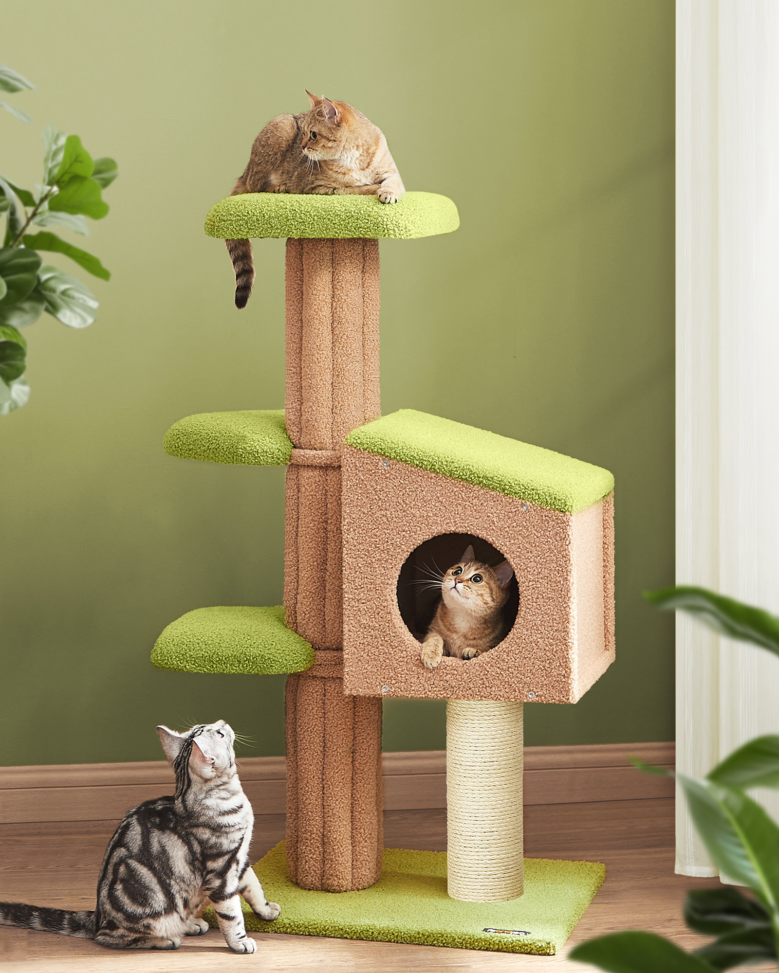 Archie Oscar 43 Timms Cat Tree Reviews Wayfair