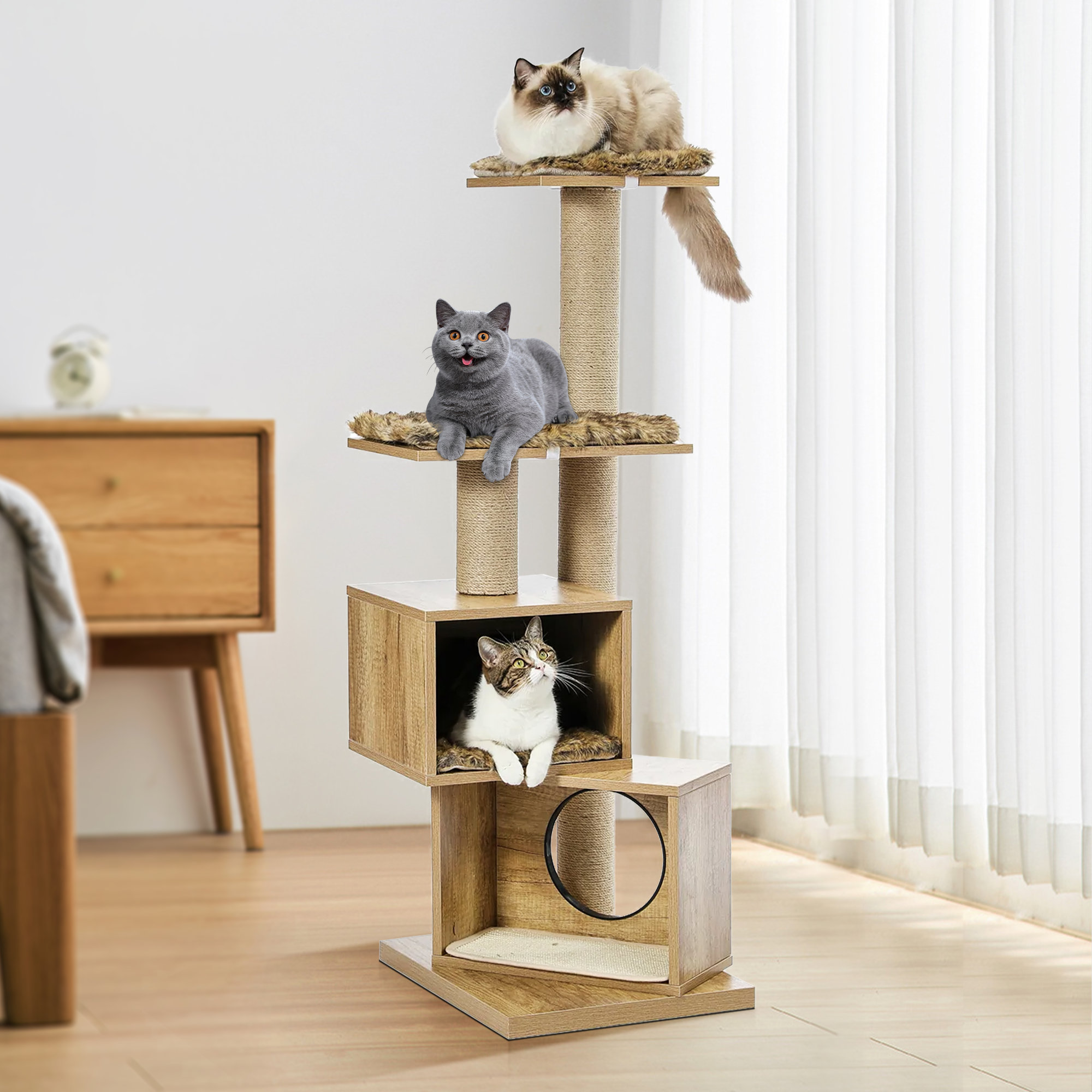 Tucker Murphy Pet 48 9 Modern Cat Tower Cat Tree Multi Level Wood 