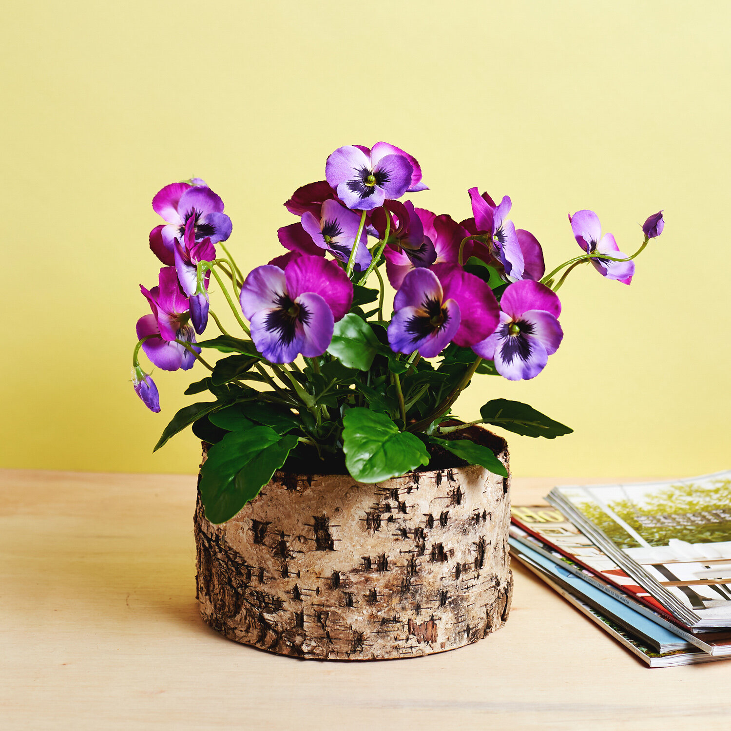 pansy floral arrangement in planter