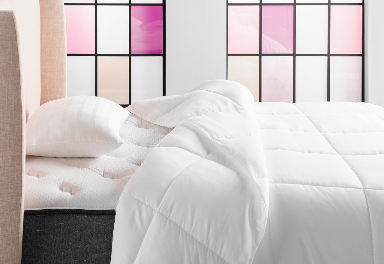 [BIG SALE] Bedding Basics Deals You’ll Love In 2023 Wayfair