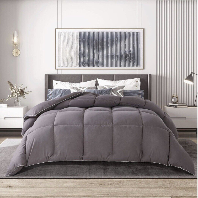 Ebern Designs Huibei Winter Polyester Down Alternative Comforter | Wayfair