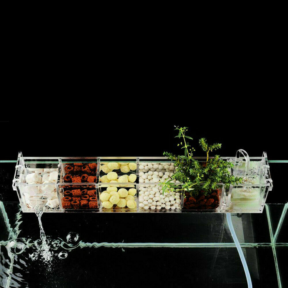 fish box filter