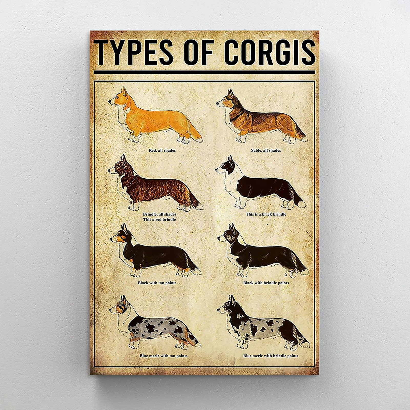 Trinx Types Of Dogs Lover On Canvas Graphic Art Wayfair