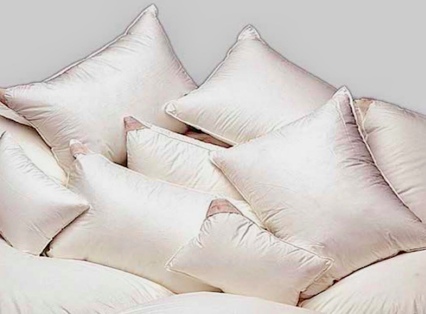 Down to Basics Down King Pillow & Reviews Wayfair