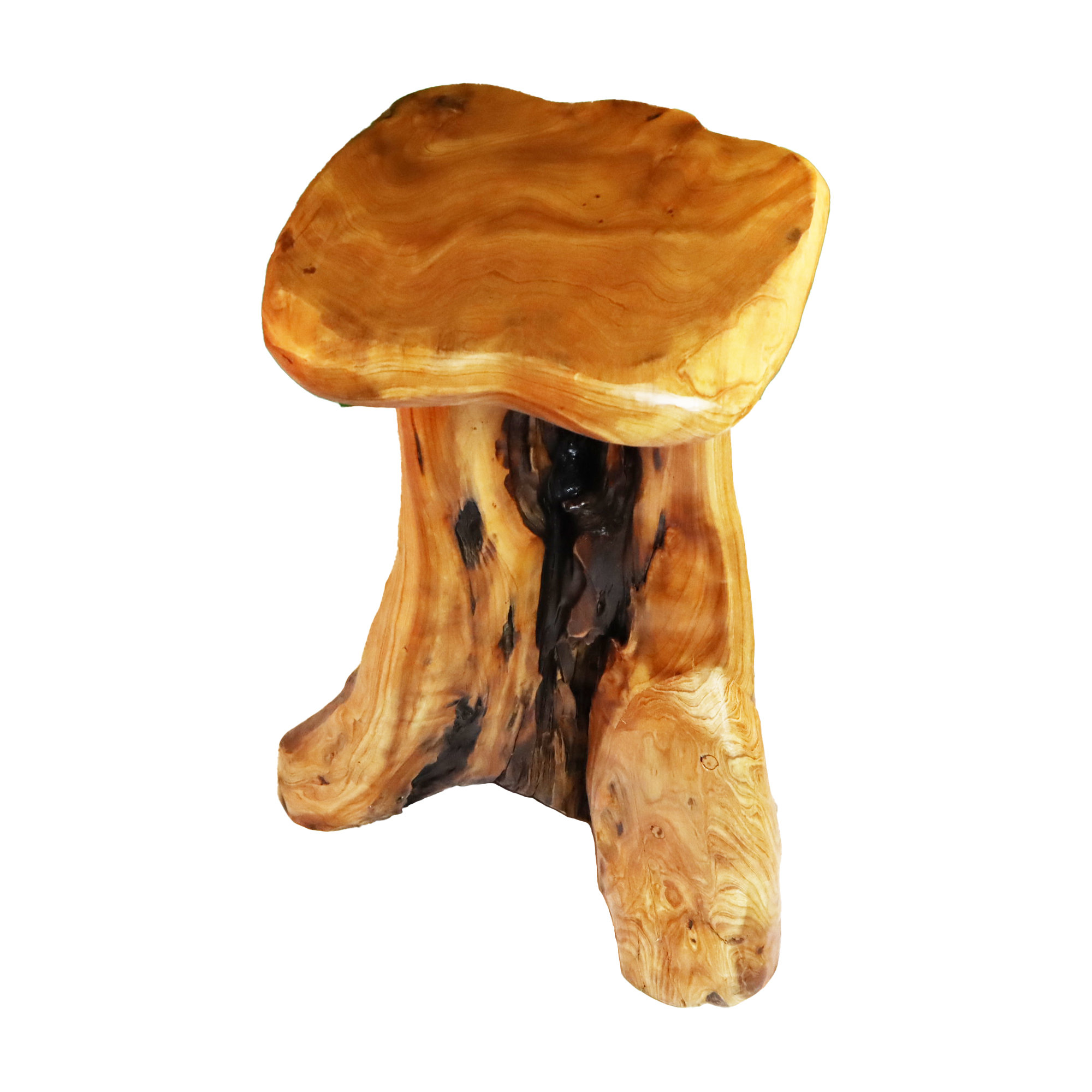 Millwood Pines Coutee 26'' Tall Solid Wood Tree Stump End Table Wayfair