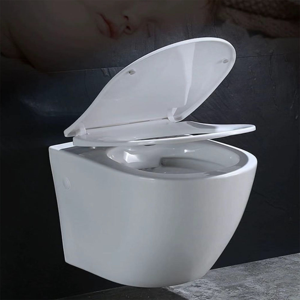Sani Canada DualFlush Elongated Wall Mounted Toilet (Seat Included