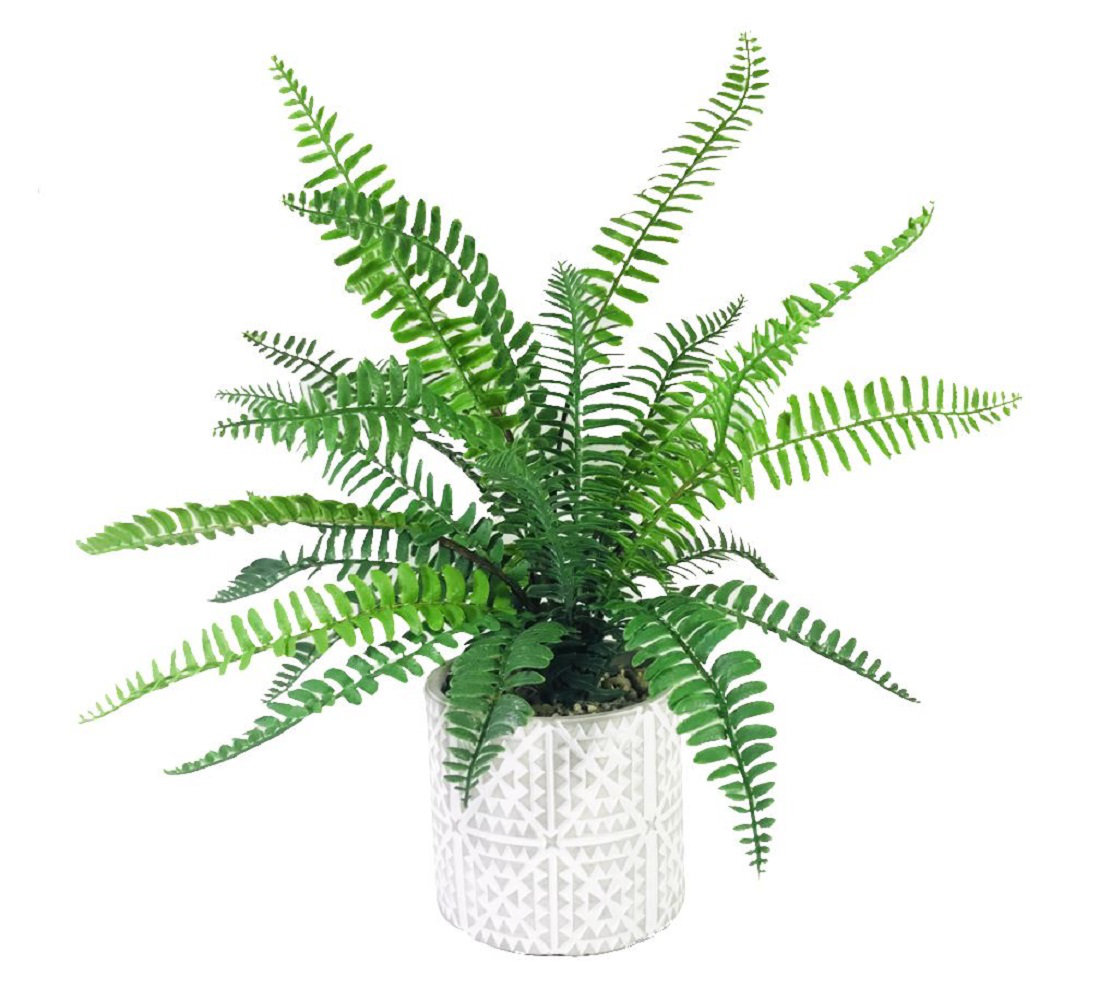 Gracie Oaks 15.5'' Faux Fern Plant in Ceramic Pot & Reviews Wayfair