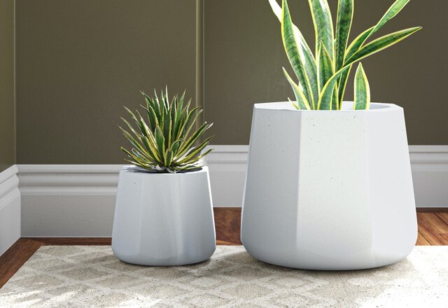 Top-Rated Planters