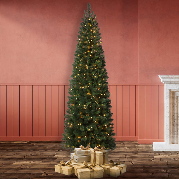 Wayfair Tree Dcct7505 | Wayfair