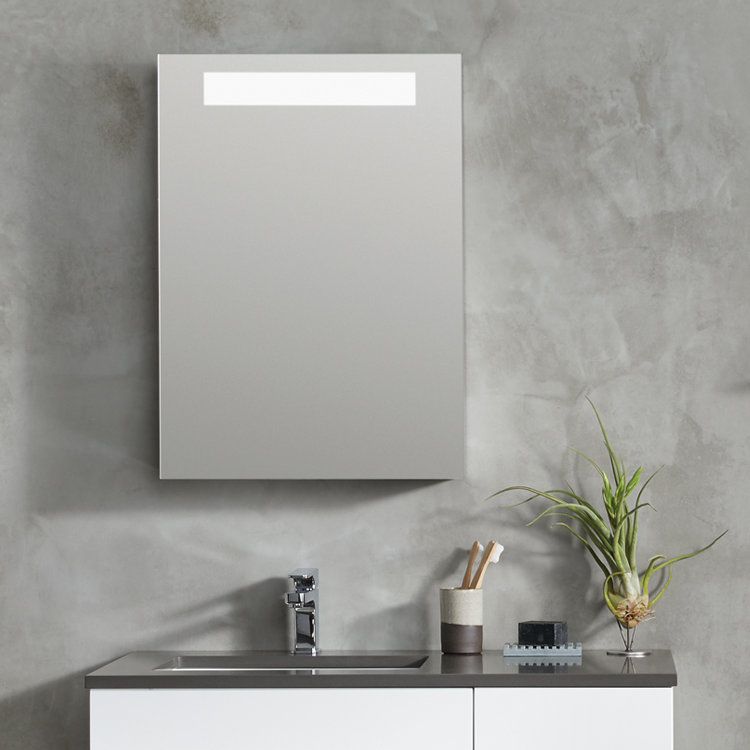 Ronbow Damien 19.7'' W 27.6'' H Surface Mount Frameless Medicine