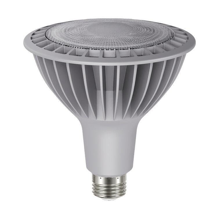bewaker Herstellen stapel Satco 33 Watt (250 Watt Equivalent), PAR38 LED, Dimmable Light Bulb,  E26/Medium (Standard) Base | Wayfair