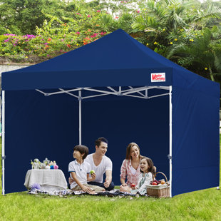 Wayfair | 12'x12' Outdoor Canopies You 