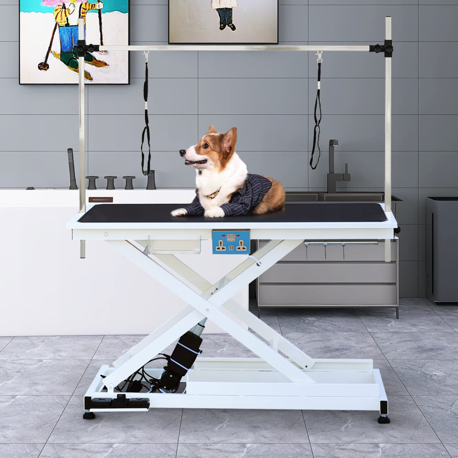 SoarFlash Electric Lift Pet Grooming Table Wayfair