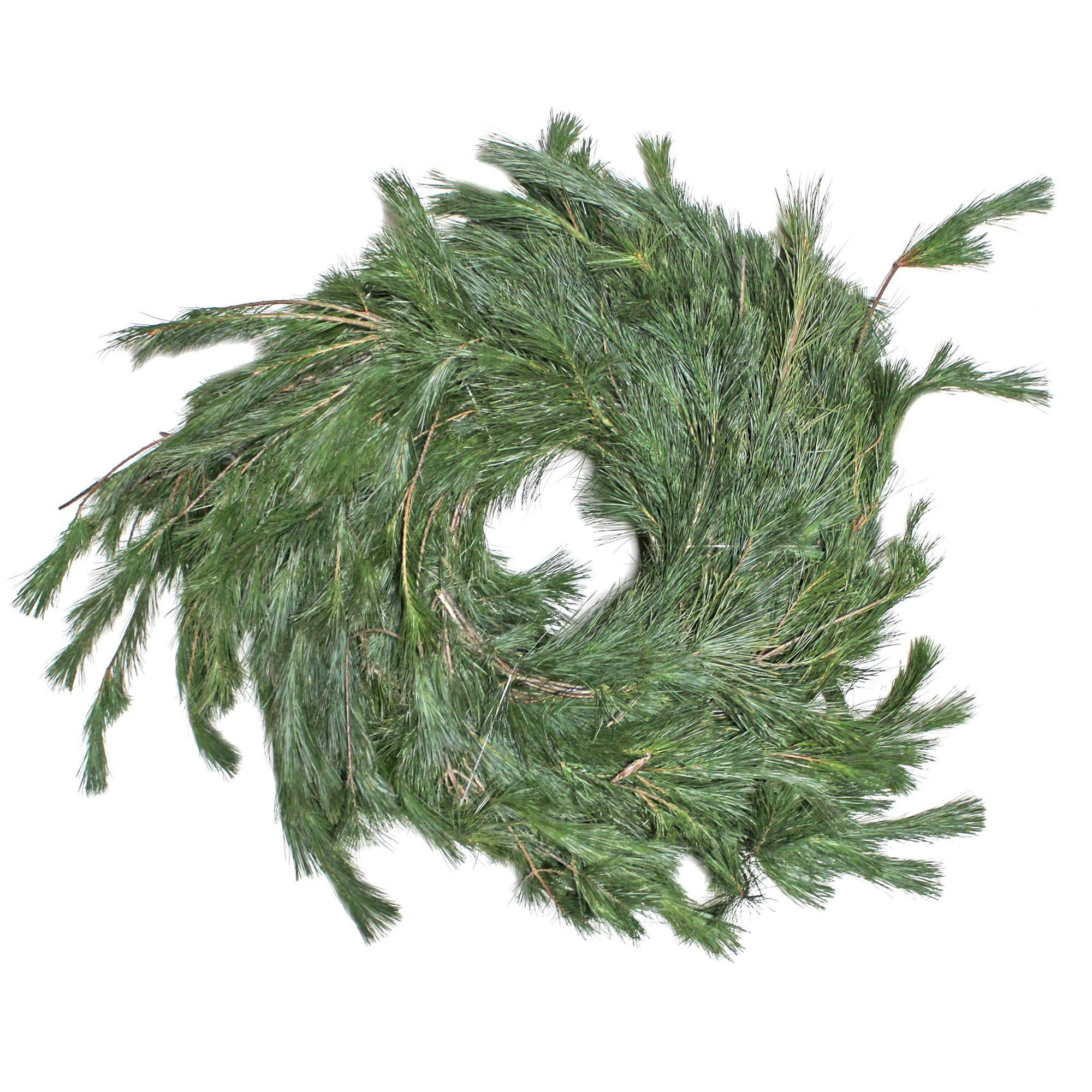 Primrue 900'' in. Fresh Pine Garland Wayfair