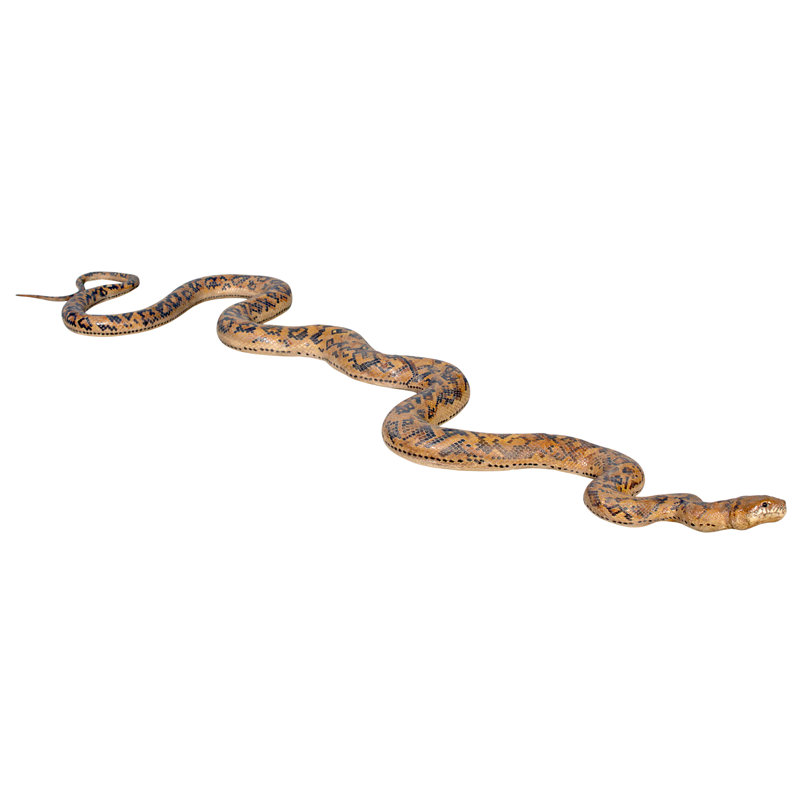 Design Toscano Giant Burmese Python Snake Statue | Wayfair